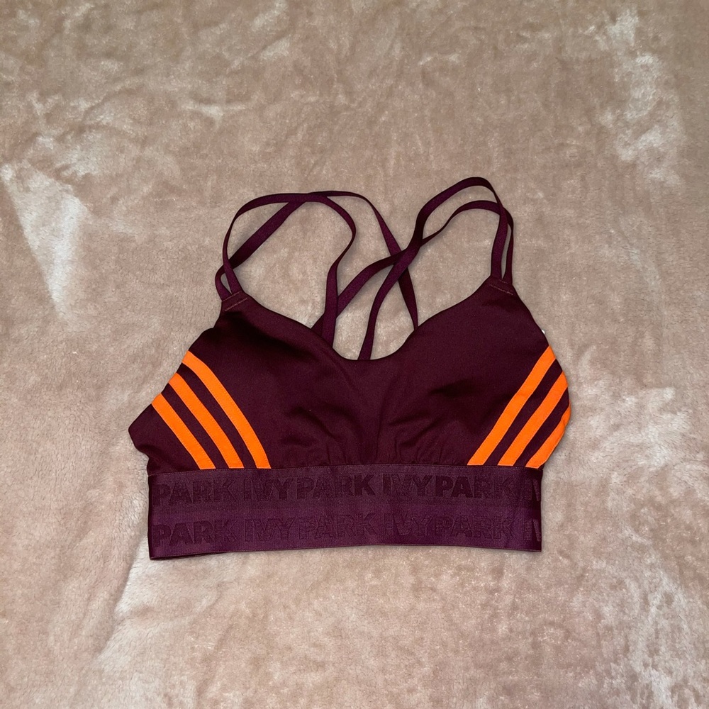 Ivy Park Sports Bra